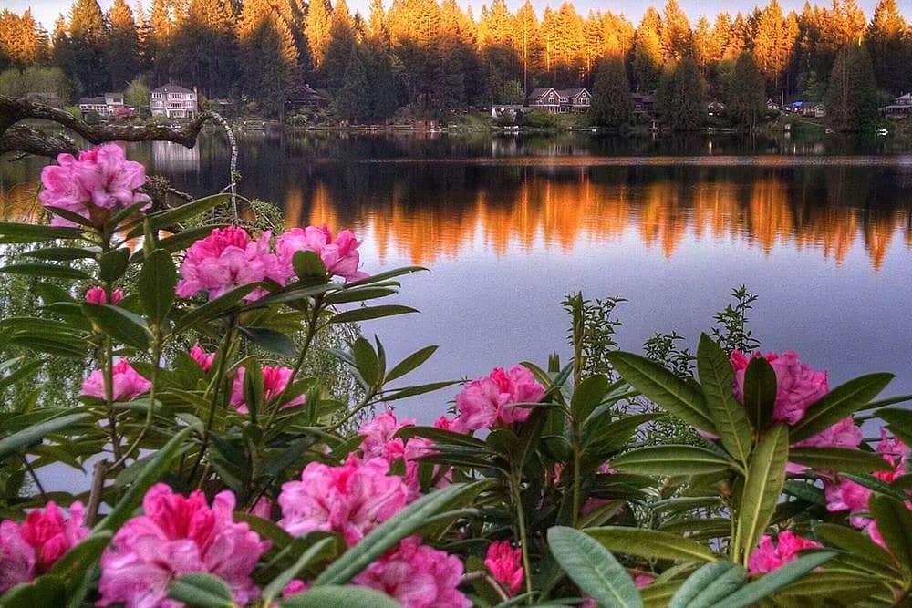 3 Day Cottage Lake B&B Retraite spirituelle à Woodinville, États-Unis