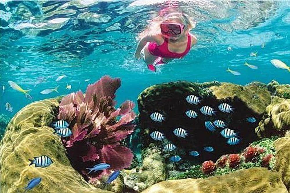 5 Day Ocean Adventure & Spa Yoga Wellness Retreat в Ки -Уэсте, США