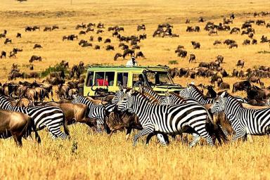 8 Safari Hari ke Taman Nasional Ngorakoro dan Serengeti, Afrika