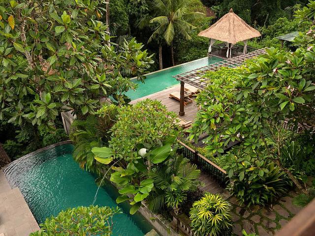 6 Day Luxurious Rejuvenation & Wellness Retreat in Ubud, Bali