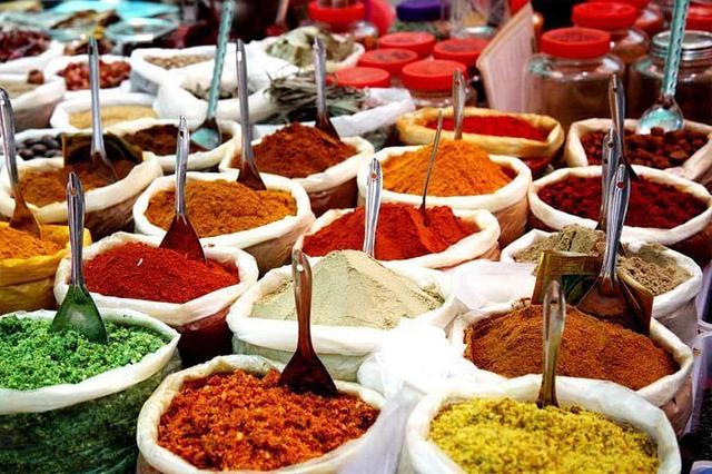 11 Tur 'Warna India' Sehari dengan Meditasi, Rajasthan