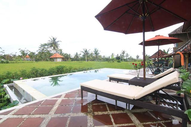 7 Hari Retret Solo Yoga yang Tidak Dapat Dilupakan di Ubud, Bali