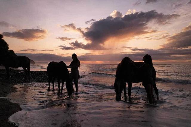 6 Perjalanan Hari Cinta Dengan Kuda di Costa Rica