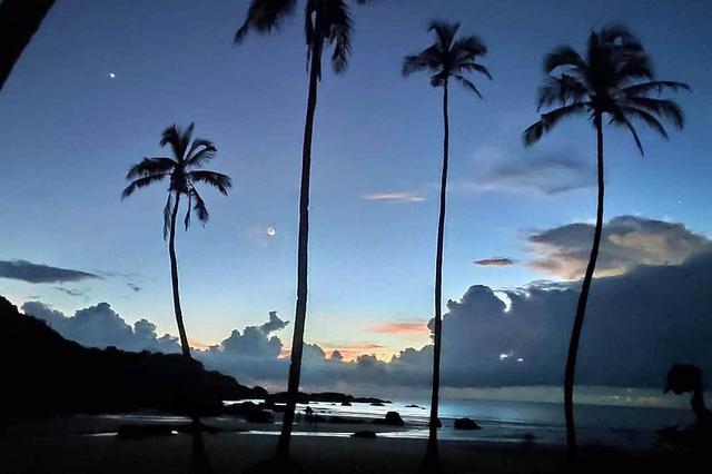 21 Day Jungle & Beach Nature Yoga Retreat в Агонде, Гоа, Индия