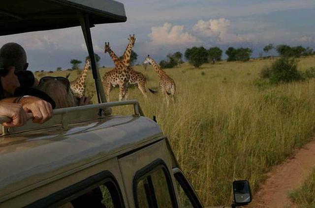 8 Retret Yoga dan Safari Sehari Pribadi atau Kelompok di Kampala, Uganda
