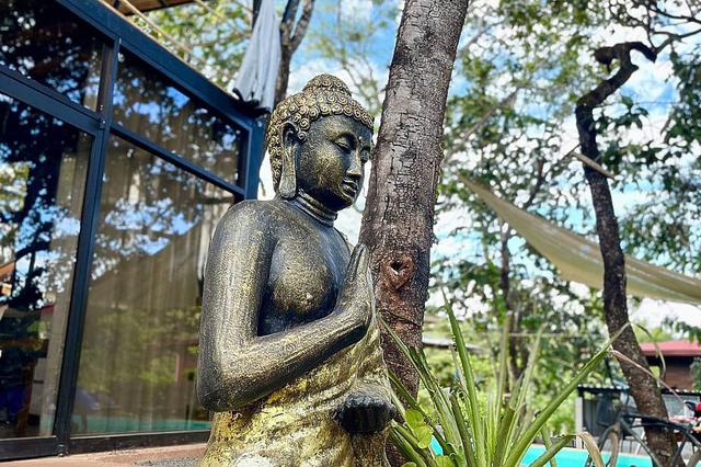 22 ቀን 200 ሰዓት ዮጋ እና Ayurveda አስተማሪ ስልጠና በኮስታ ሪካ