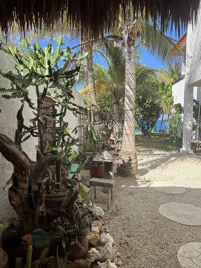 4 Araw ng Yoga at Snorkeling Karanasan sa Isla Mujeres, Mexico
