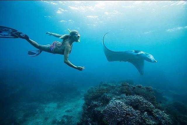 5 Day Ocean Adventure & Spa Yoga Wellness Retreat в Ки -Уэсте, США