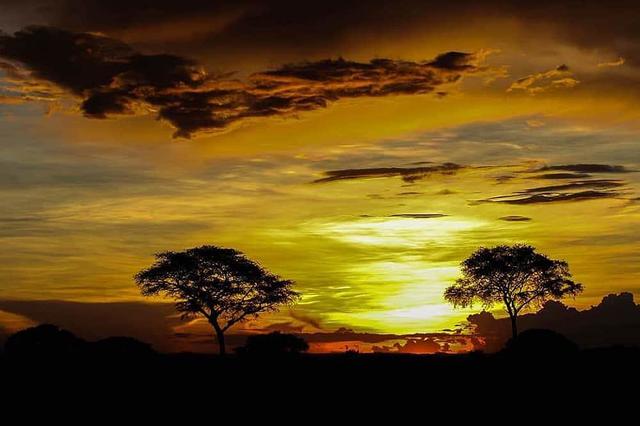 8 Retret Yoga dan Safari Sehari Pribadi atau Kelompok di Kampala, Uganda