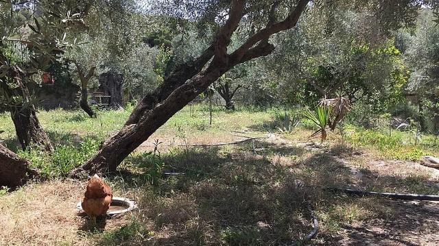 6 Araw na i -pause Makinig at makipag -ugnay muli sa iyong sarili sa pag -urong ng sayaw, Spain