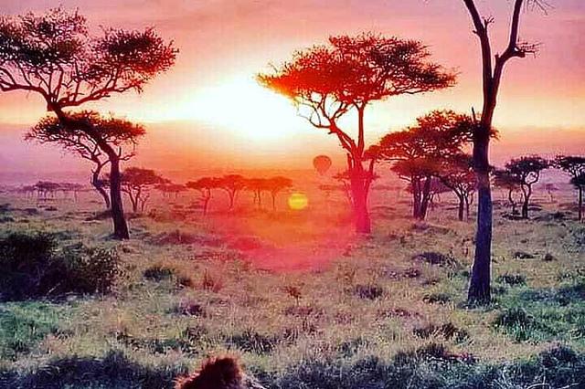 4 Hari Serengeti Hot Air Balloon Safari di Tanzania, Afrika