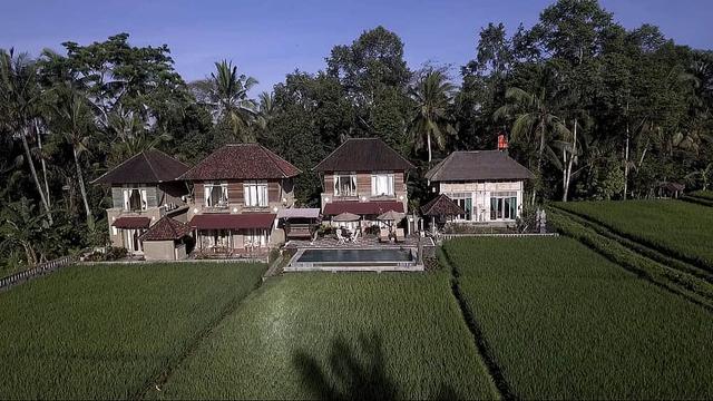 7 Hari Retret Solo Yoga yang Tidak Dapat Dilupakan di Ubud, Bali