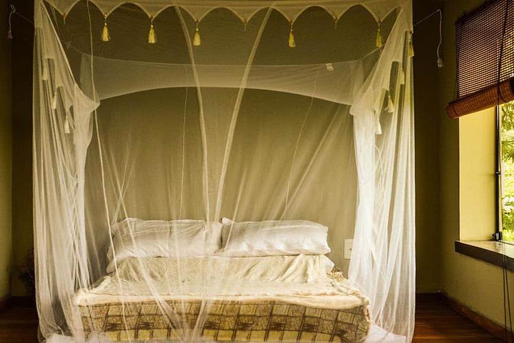 Kamar Lion (hingga 5 orang)