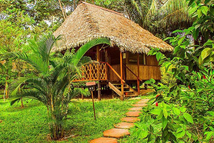 Beau lodge de la jungle