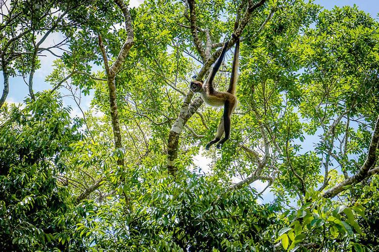Un souffle d'ashram de yoga
