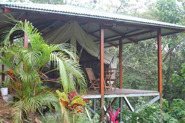 Pura Veda Gurukulum