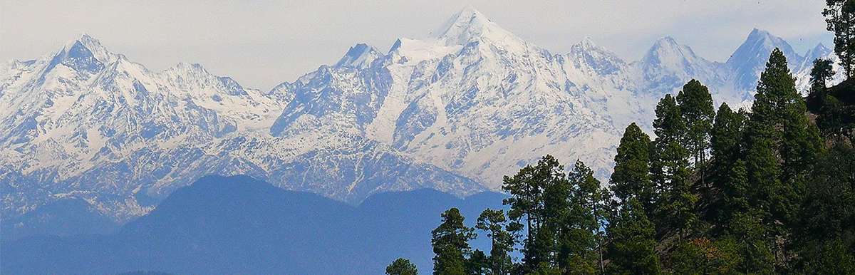 AyurVAID ሆስፒታሎች Uttarakhand