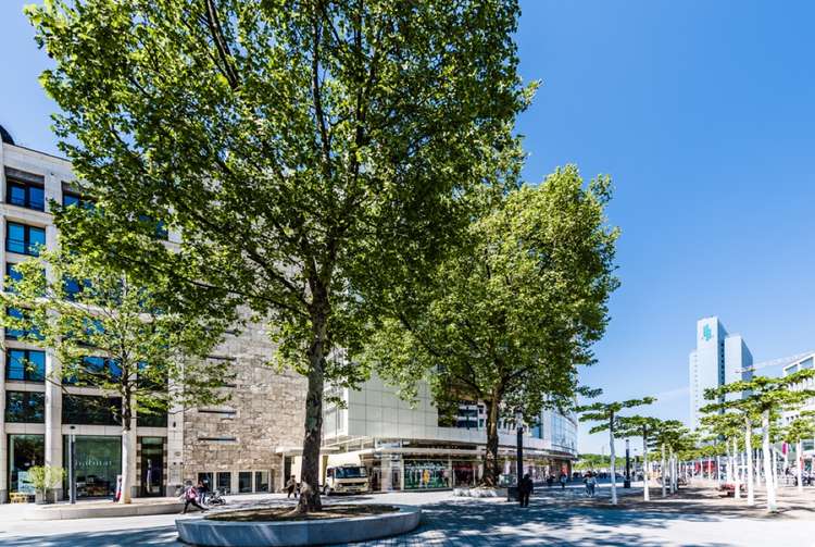 ብሬየር ፣ ካይማክ