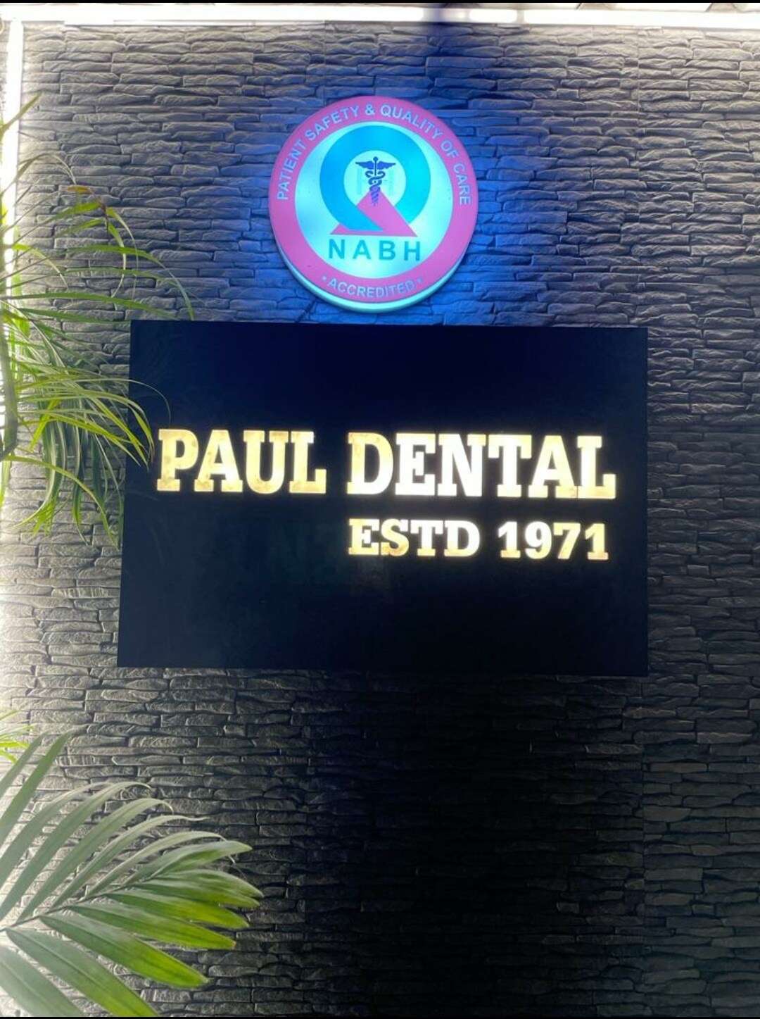 Paul Dental Orthodontic Implant