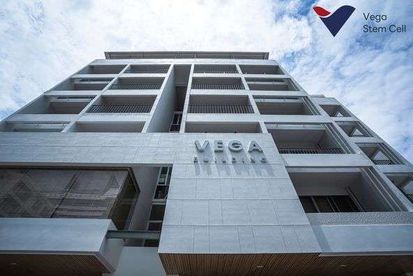 የቪጋ ስቴም ሕዋስ