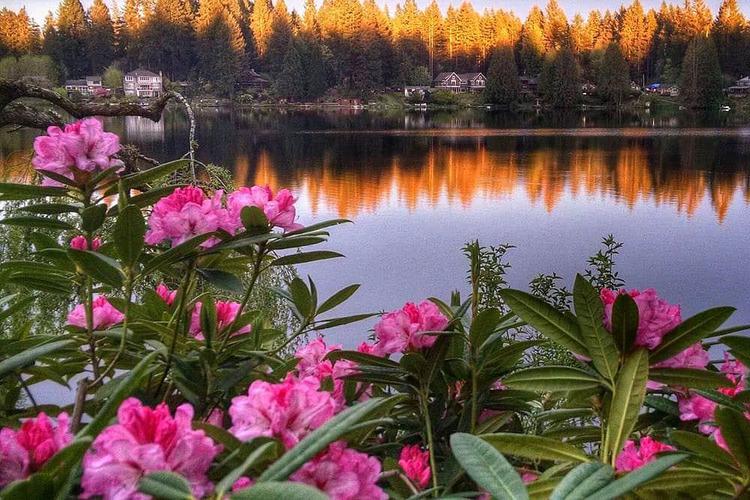 3 Day Cottage Lake B&B Retraite spirituelle à Woodinville, États-Unis