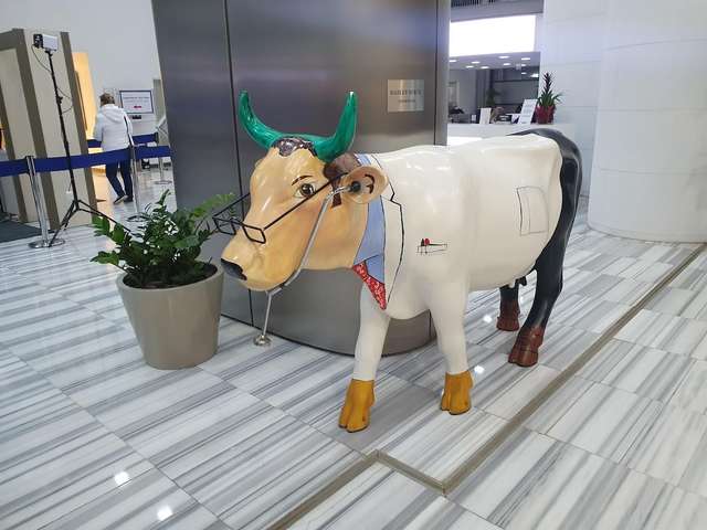 American Hospital, Istanbul