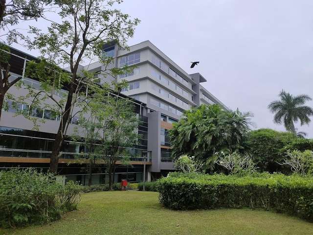 አስቴር ሜዲሲቲ፣ ኮቺ