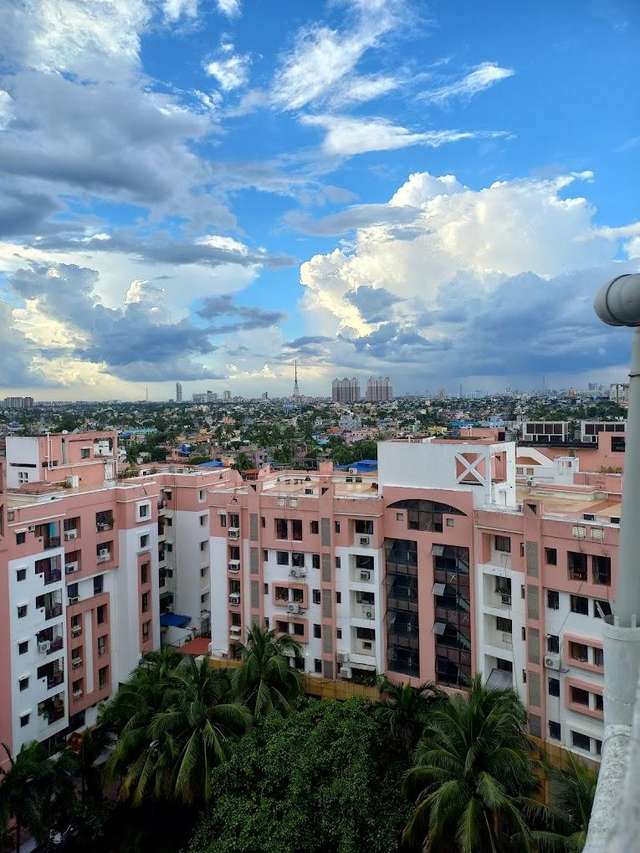 አይሪስ ሆስፒታል