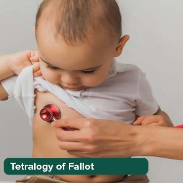 የፋሎት ቴትራሎጂ (TOF))