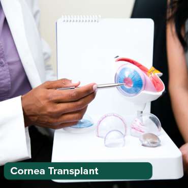 የላይኛው ወይም የታችኛው ብሌፋሮፕላስቲ (አካባቢያዊ ሰመመን))