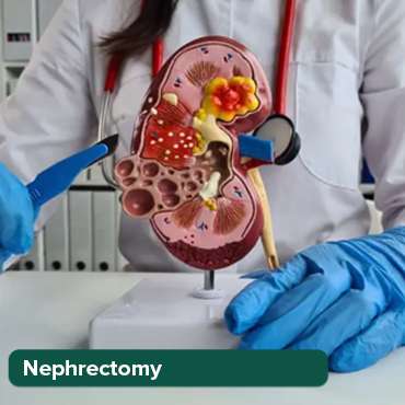 Nephrectomy ቀዶ ጥገና